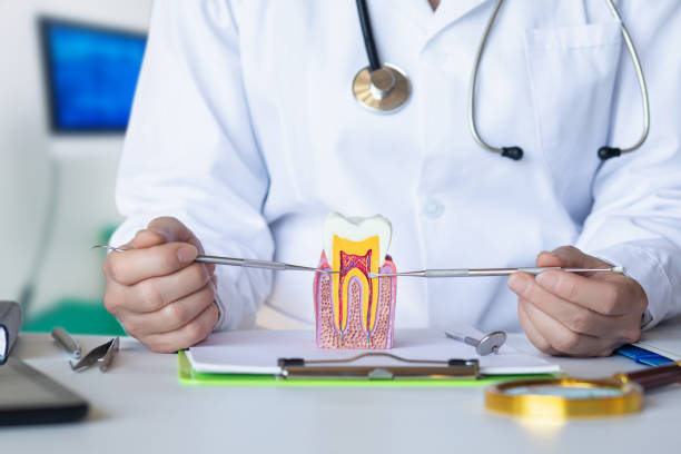 Best Cracked Tooth Emergency Dentist  in North Utica, IL